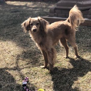 Meet your Posher, Robert